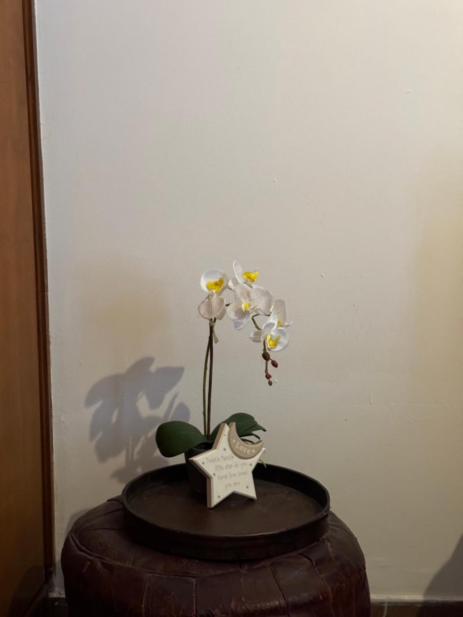 Apollo Apartment Athens/Airport Spáta 외부 사진