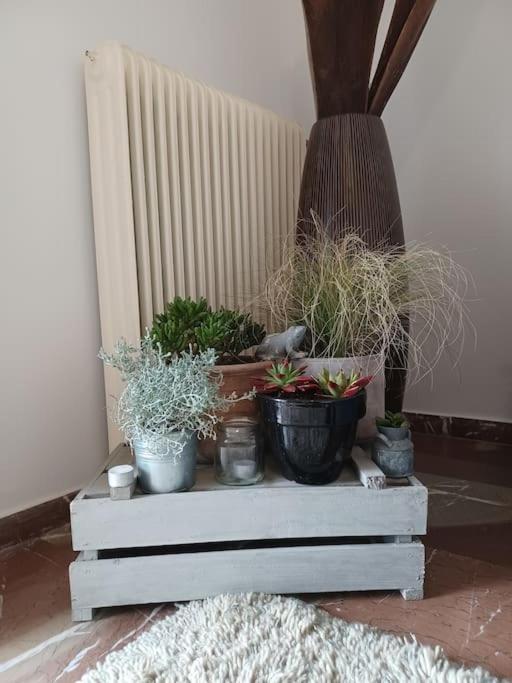 Apollo Apartment Athens/Airport Spáta 외부 사진